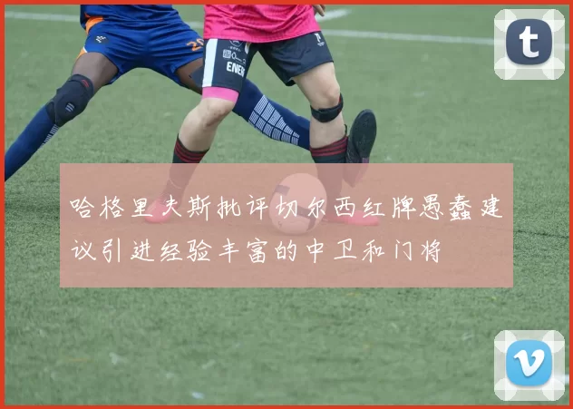 哈格里夫斯批评切尔西红牌愚蠢建议引进经验丰富的中卫和门将